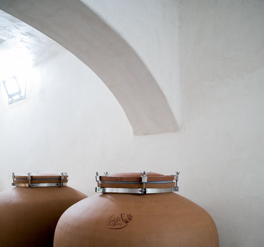 AnydrousWinerySantorini2021_ (10).jpg